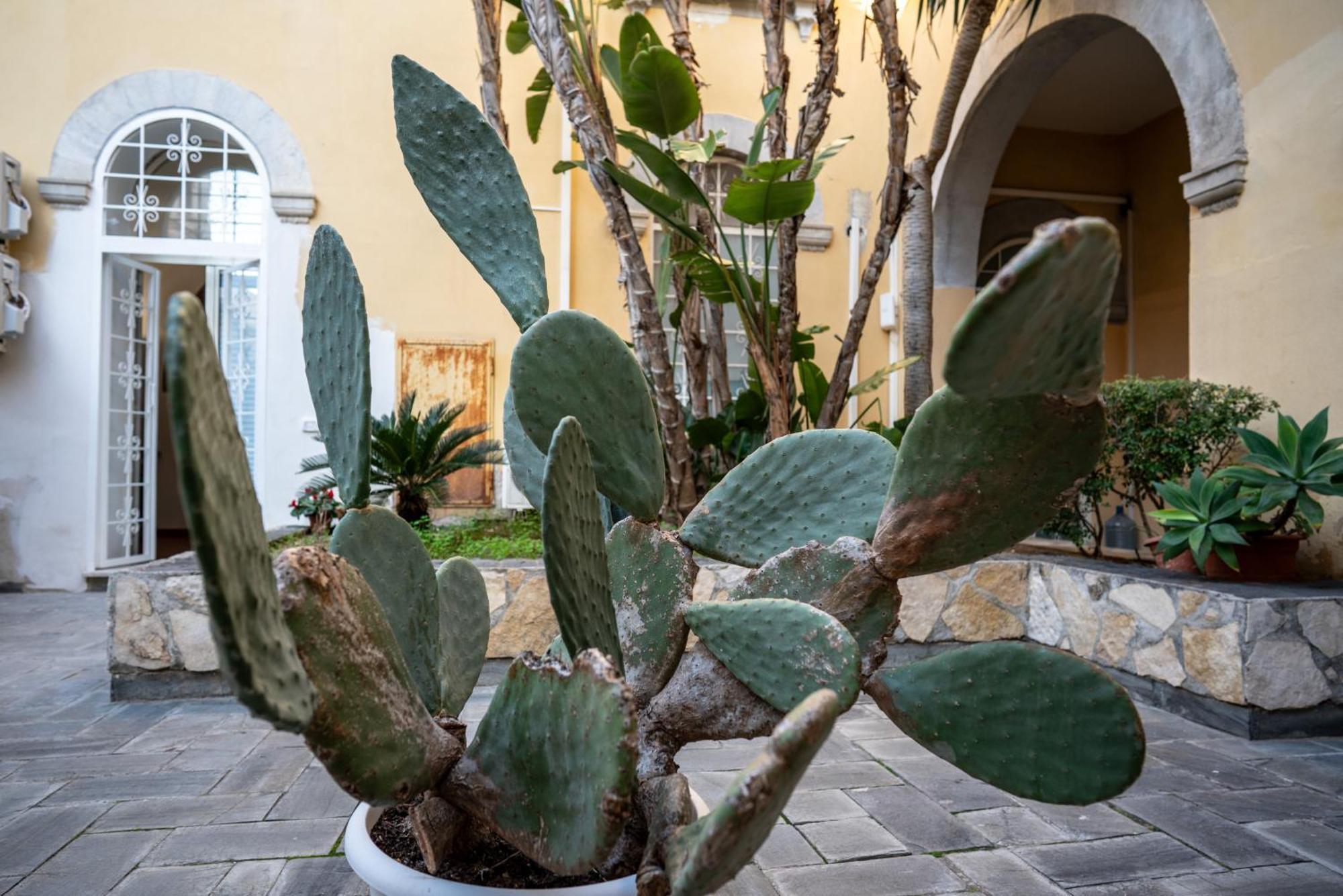 Vila Casa Orchidea D'Oro Syracuse Exteriér fotografie